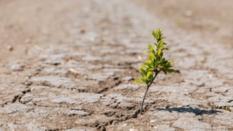 Gerakan Antaragama Perlu Diperluas untuk Kurangi Krisis Iklim