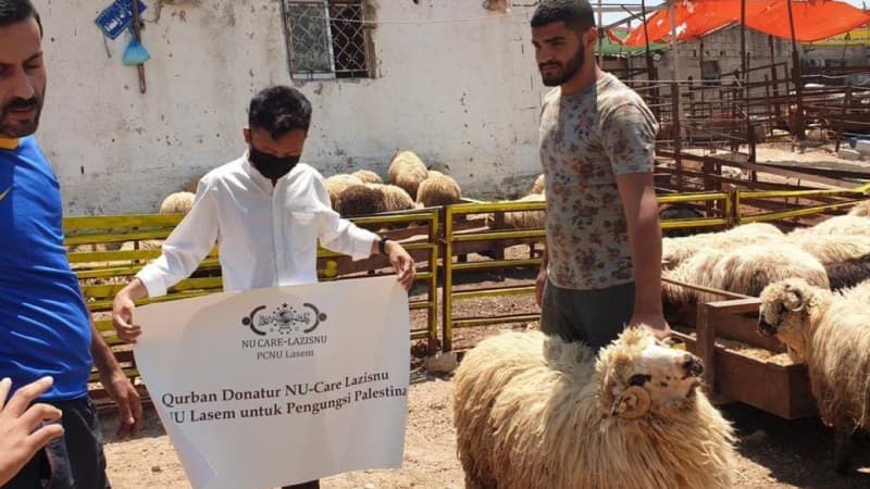 Jelang Idul Adha, LAZISNU Lasem Kurban Domba untuk Palestina