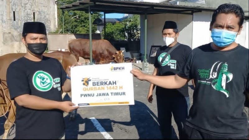 NU Care-LAZISNU-BPKH Sebar 1.000 Sapi ke Pelosok Negeri