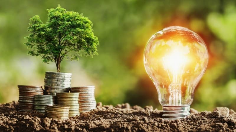 Harta menurut Mazhab Hanafi (2): Tidak Halal pun Masuk Kategori Harta