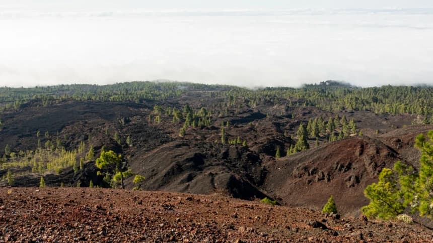 Reforma Agraria Berkeadilan dalam Putusan Munas Alim Ulama NU