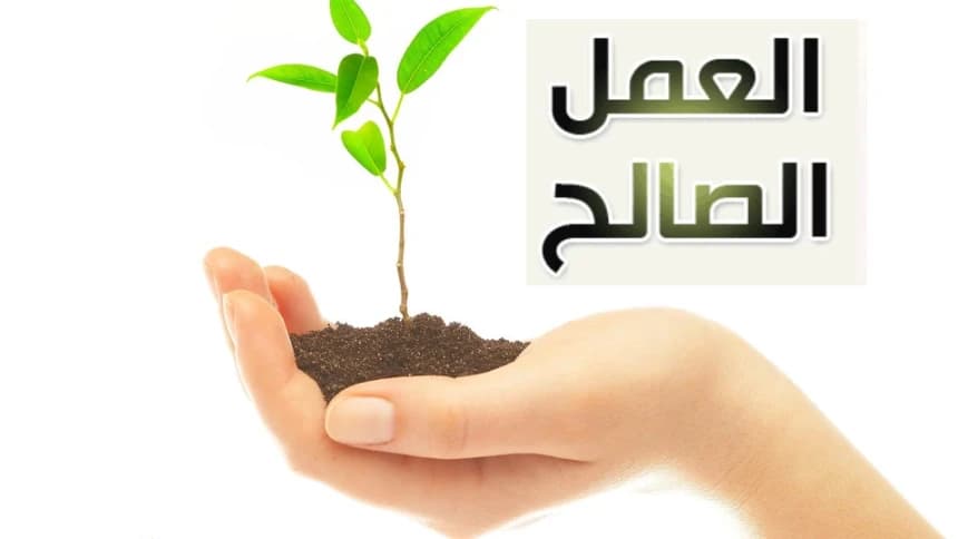 Amal Ibadah dan Dosa dalam Ilmu Hakikat