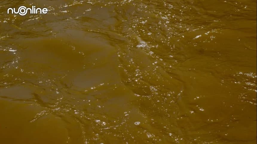 3 Prinsip Kebijakan Pemerintah dalam Antisipasi Bencana: Fikih Keselamatan Rakyat