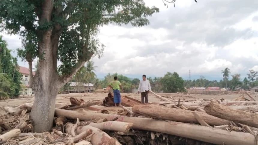 Deforestasi Perparah Bencana Ekologis di Sumatra, Pemerintah Diminta Benahi Tata Kelola Hutan