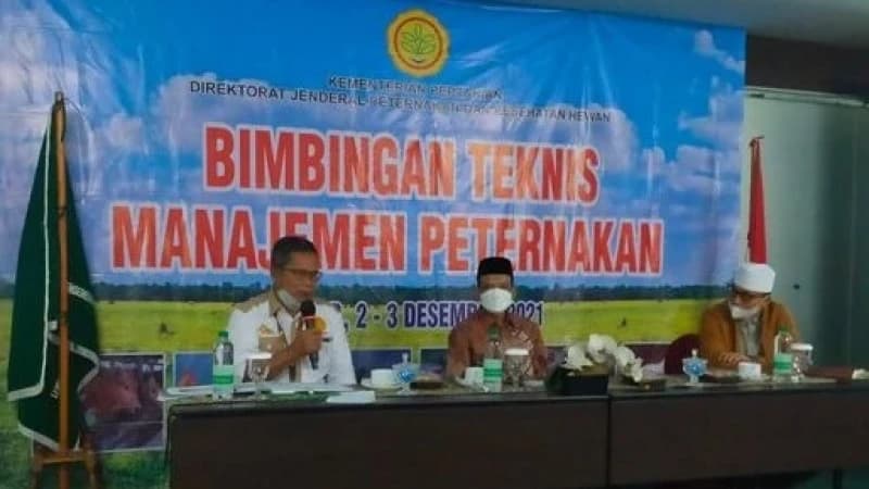 Lembaga Pertanian NU Dorong Peternak Nahliyin Penuhi Kebutuhan Daging Sapi