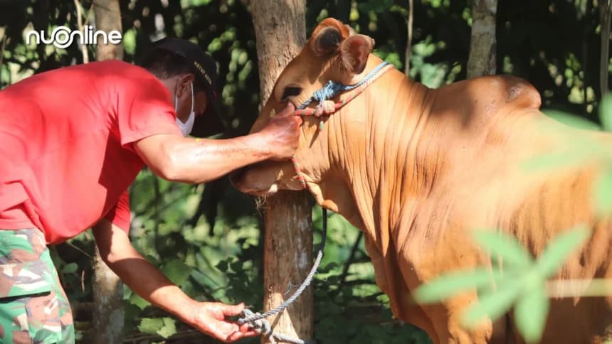 Khutbah Idul Adha: Menyembelih Hawa Nafsu, Meraih Ketakwaan