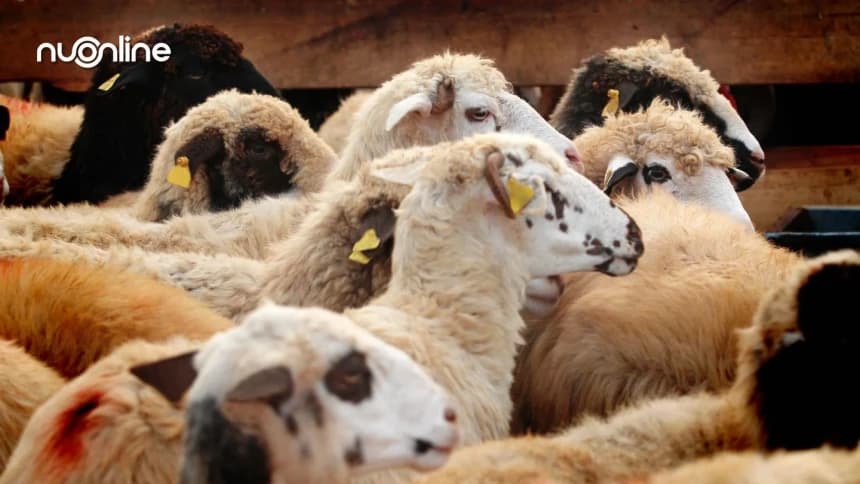 Khutbah Idul Adha: Implementasi Nilai-Nilai Ihsan dalam Momentum Lebaran Haji