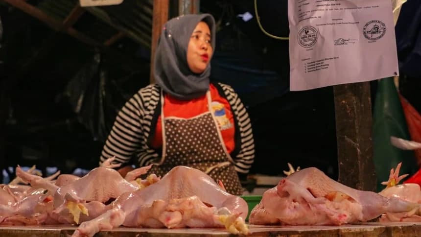 Harga Daging Ayam Tembus Rp50 Ribu, Pedagang Ancam Mogok Jualan