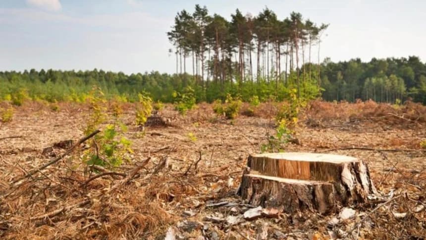 Maraknya Deforestasi dan Gagalnya Tata Ruang Dinilai Jadi Akar Bencana Ekologis di Jawa Tengah