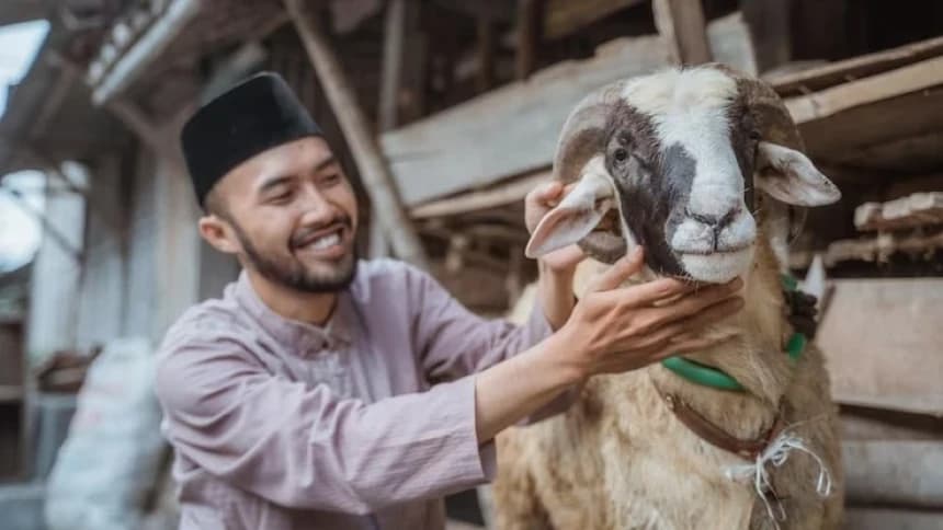 Doa Menyembelih Hewan Kurban