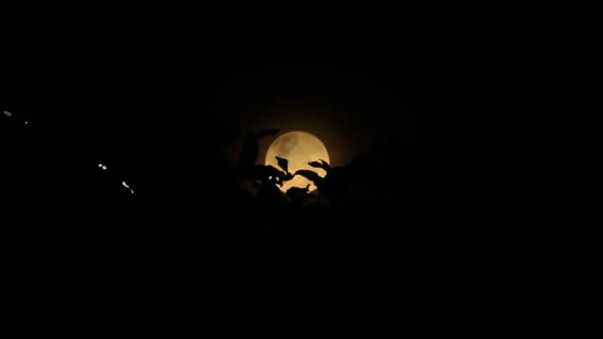 Niat dan Tata Cara Shalat Gerhana Bulan Nanti Malam