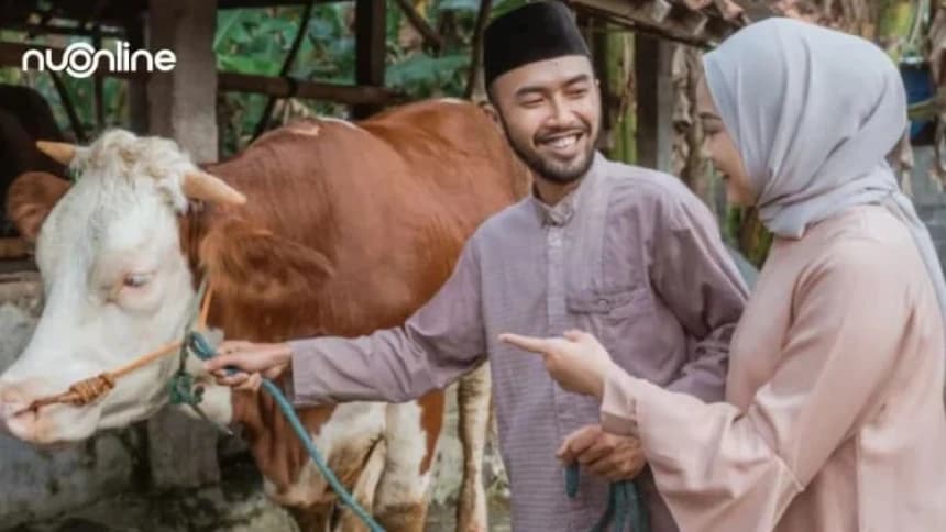 Kapan Batas Penyembelihan Hewan Kurban?