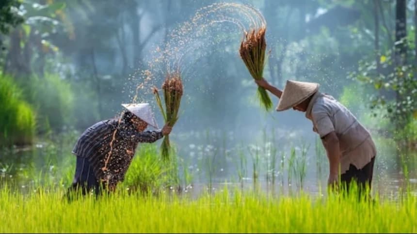 Teladani Kegigihan Siti Hajar, Umat Islam Bisa Lebih Maju dan Sejahtera