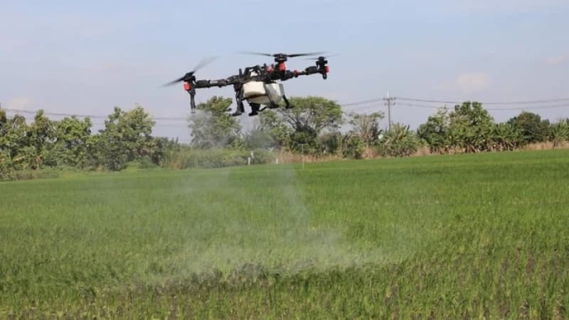 Petani Klaten Beralih ke Teknologi Modern, Tak Lagi Andalkan Hujan dan Tenaga Manusia