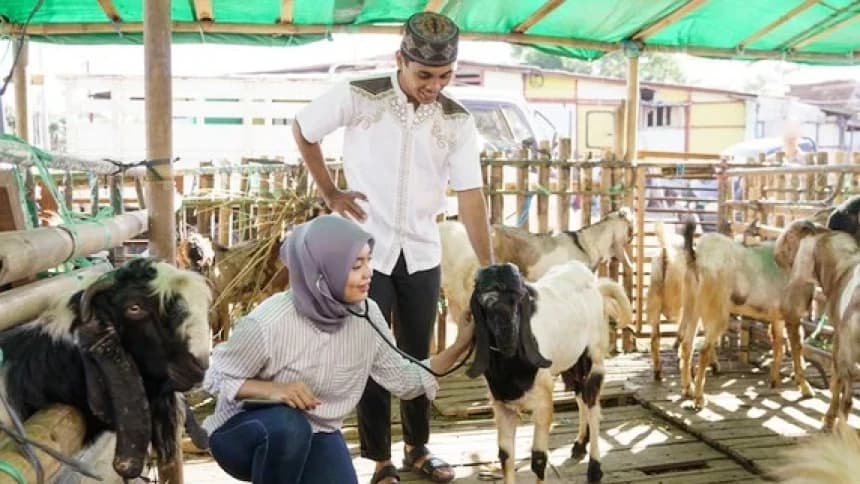 Update Kasus PMK: 274.837 Sakit, 88.664 Sembuh, 1.674 Mati