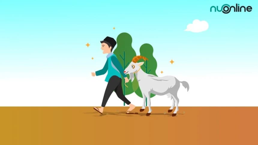 Bolehkah Menggabungkan Niat Kurban dan Aqiqah dengan Seekor Hewan?
