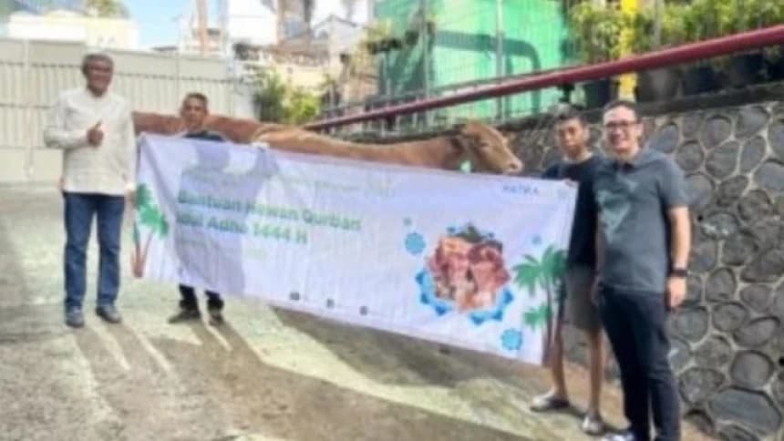 Momentum Idul Adha 1444 H, Grup Pertamina Salurkan 3.478 Hewan Kurban
