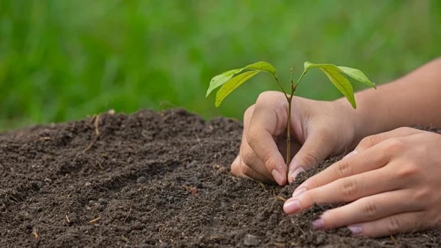 Khutbah Jumat: Seruan Menanam Pohon untuk Generasi Mendatang