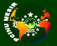 PCINU Mesir Gagas Pertemuan Internasional II