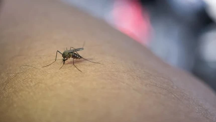 Intensitas Hujan Masih Tinggi, Kenali Tanda DBD dan Pentingnya Deteksi Dini