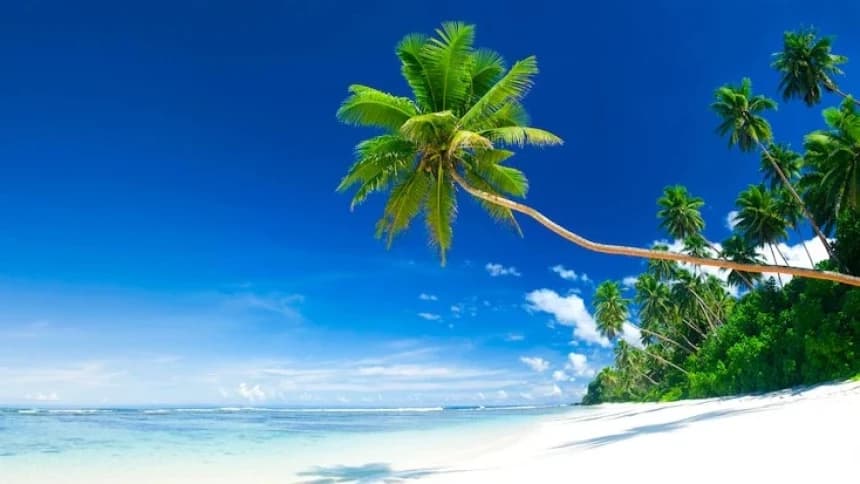 Pilih Gunung atau Pantai? Ini Kata Psikolog Soal Kepribadian Pengaruhi Pilihan Wisata