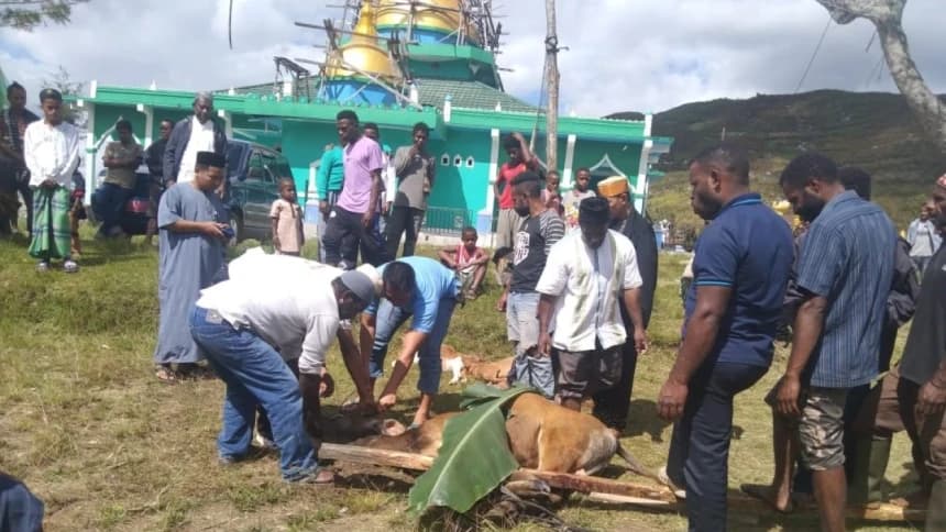 PWNU Papua Salurkan Hewan Kurban ke PCNU dan Pesantren